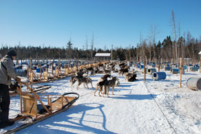 Chenil La Poursuite, a larger than life adventure!